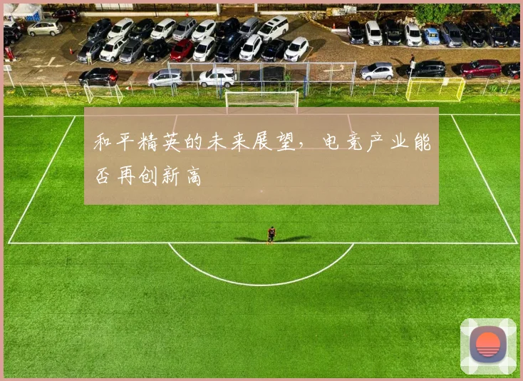和平精英的未来展望，电竞产业能否再创新高