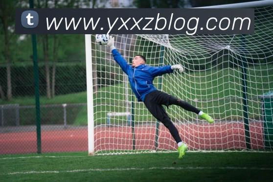 爱游戏体育·（AYX）官方网站_AYX SPORTS服务体系